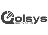 Qolsys