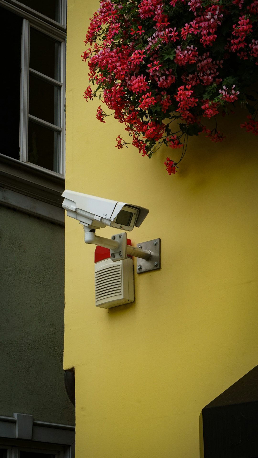 Commercial video surveillance camera